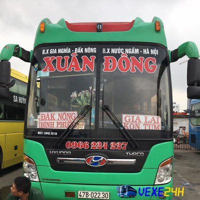 Xe Xuân Đông