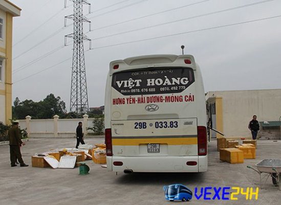 Xe Việt Hoàng