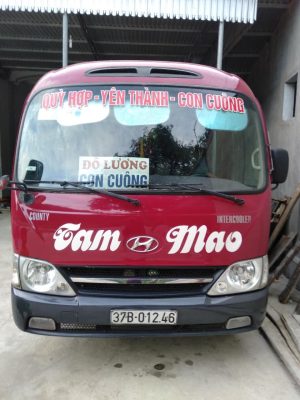 xe tâm mao